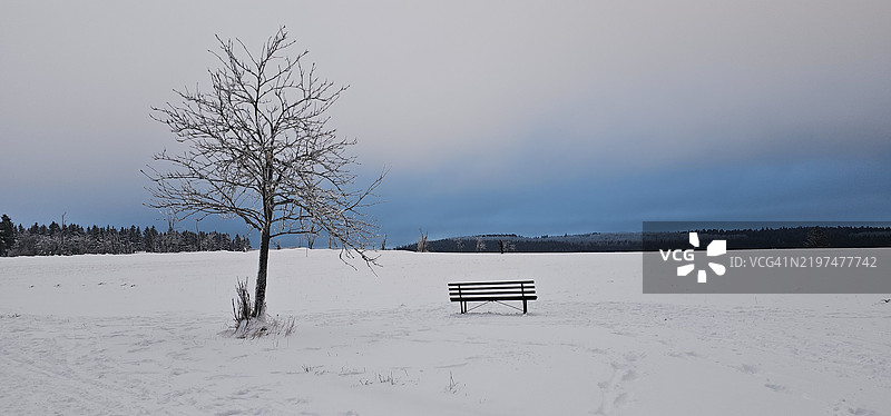 阿尔滕贝格，萨克森，德国，雪覆盖的田野与天空的美丽景色图片素材