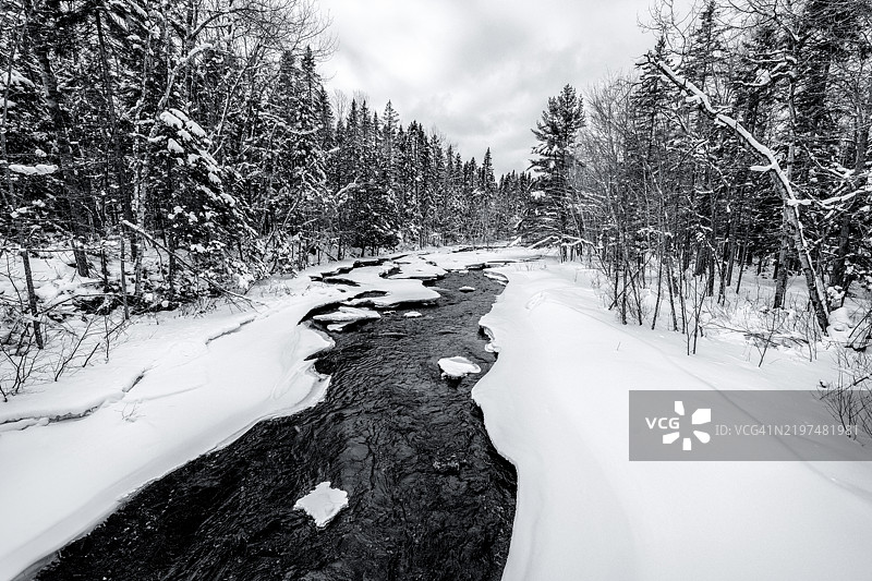 雪覆盖的土地上树木与天空相映成趣图片素材