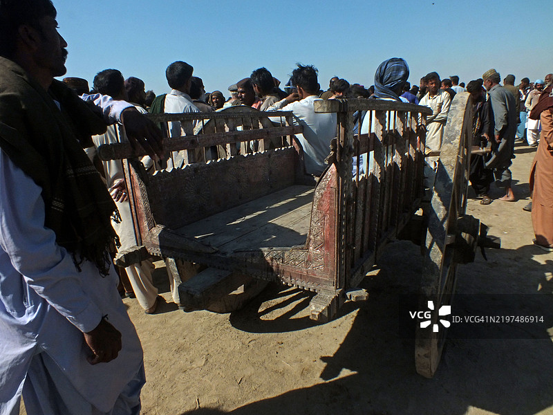 观众聚集在一起观看牛车赛跑图片素材