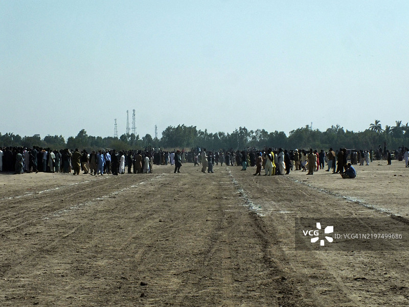 观众聚集在一起观看牛车赛跑图片素材