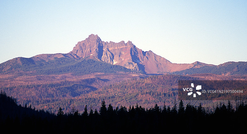 俄勒冈州的三指杰克图片素材