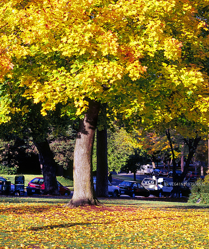 俄勒冈州本德市中心图片素材