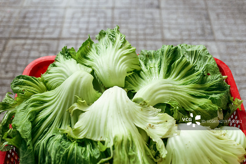 晾干新鲜的芥菜以制作腌制蔬菜图片素材