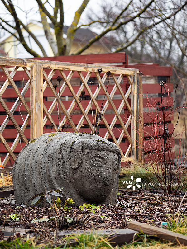 冬季花园中花坛里一只老旧水泥羊雕塑的特写。花园装饰。混凝土雕塑。图片素材