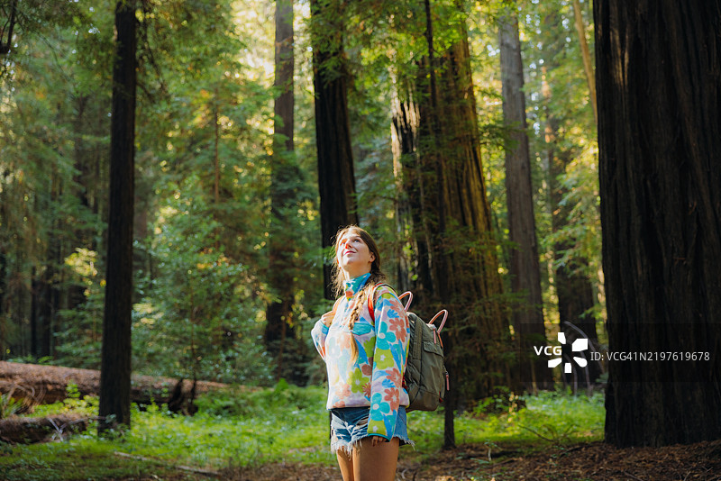 背着背包的女人在红木森林中晨跑图片素材