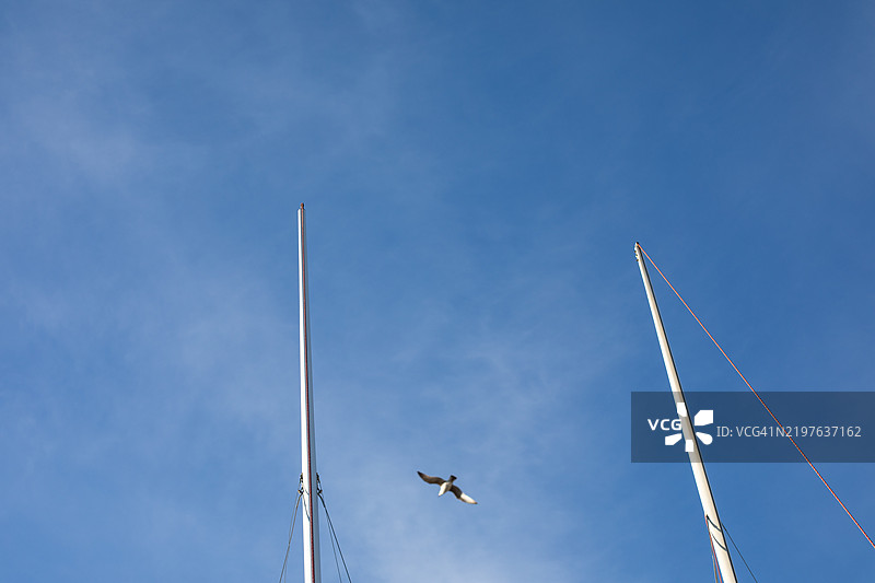 航行，惠特斯特布尔图片素材