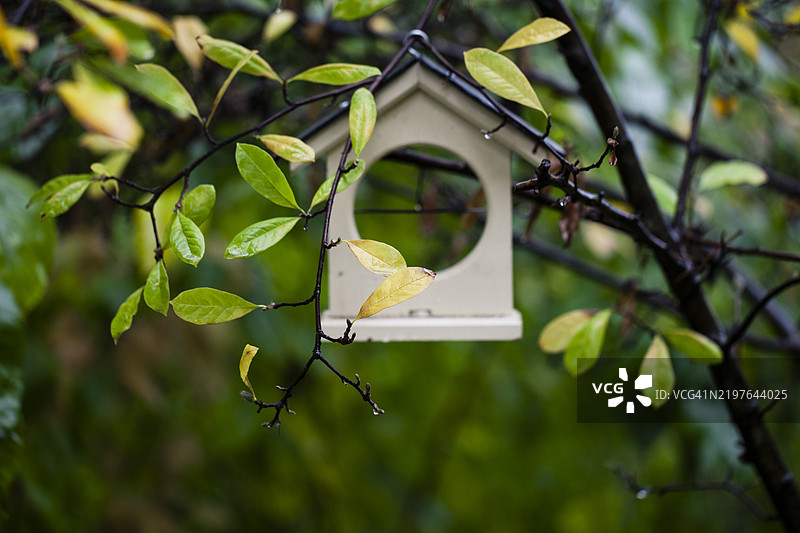 鸟用的房子形状的饲料槽图片素材