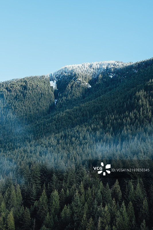 被美丽蓝天覆盖的雪白森林景观顶部图片素材