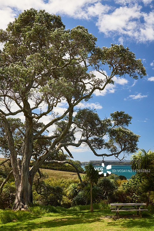 朗湾地区公园的普特卡瓦林地图片素材