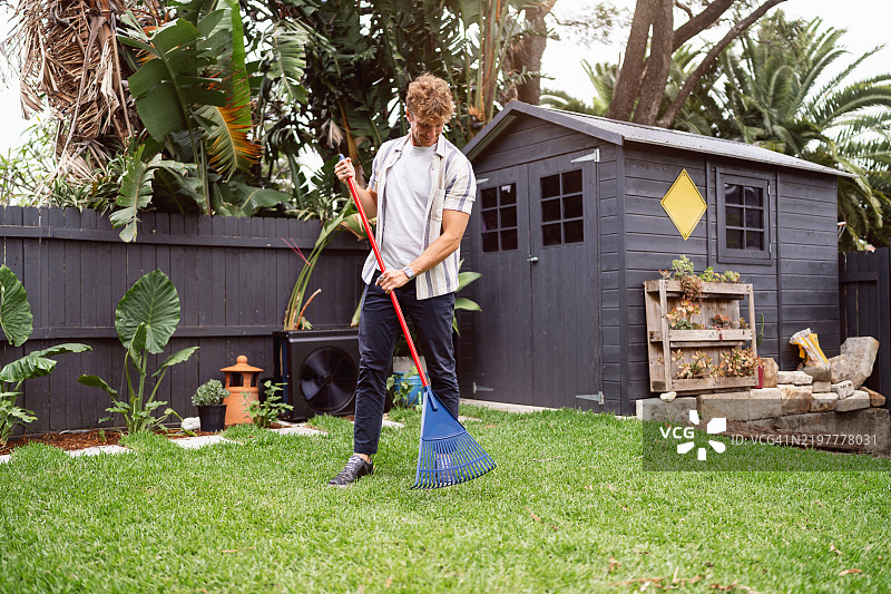 阳光明媚的日子里，男子在花园小屋附近的后院草坪上耙草。图片素材
