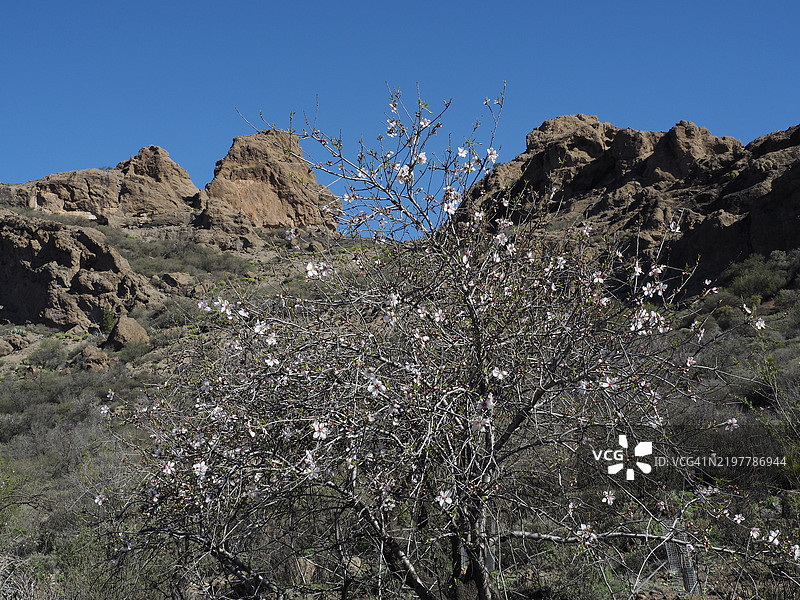 特赫达镇附近的火山景观，位于大加那利岛，加那利群岛，大西洋，西班牙图片素材