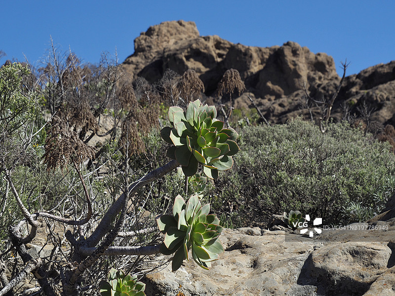 特赫达镇附近的火山景观，位于大加那利岛，加那利群岛，大西洋，西班牙图片素材