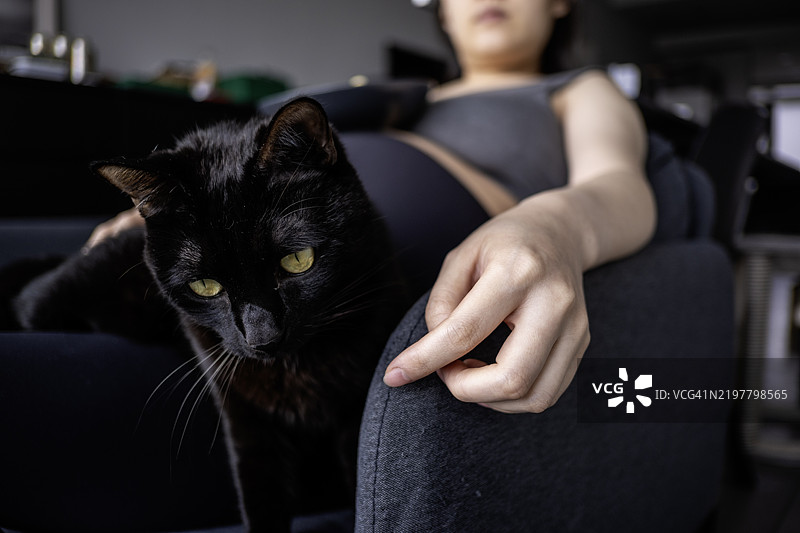 怀孕的亚洲女性在吃切片苹果，旁边有一只黑猫图片素材