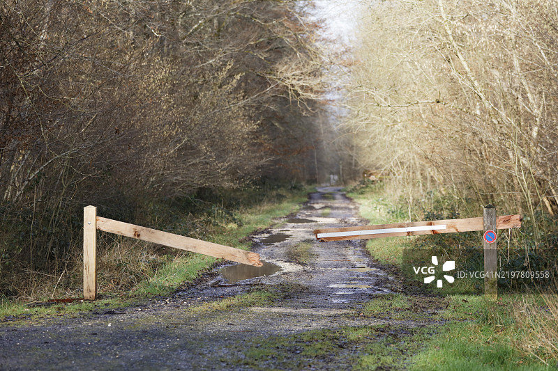 法国被破坏的森林屏障图片素材