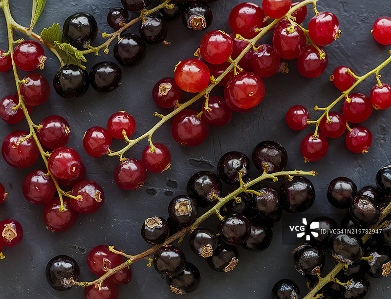 成熟的新鲜黑醋栗和红醋栗图片素材
