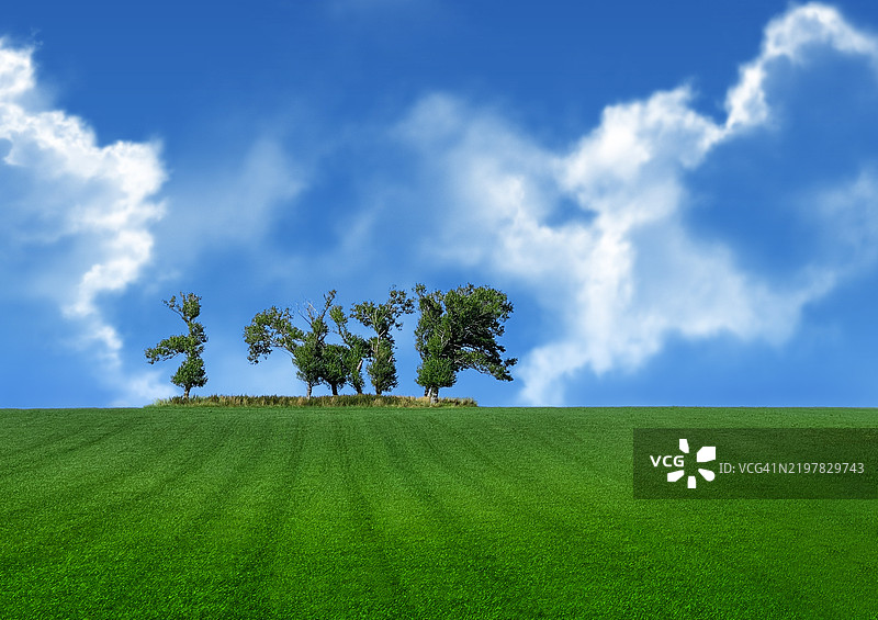 树木在天空下的田野，哈德斯菲尔德，英国图片素材