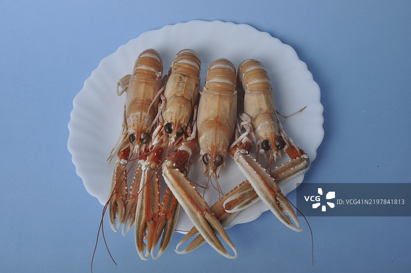 四只龙虾整齐地摆放在白色盘子上，背景为蓝色。图片素材