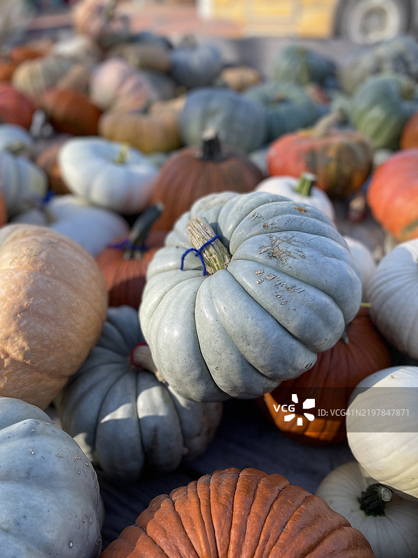 市场上出售的南瓜特写，爱荷华州，美国图片素材
