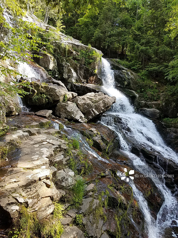 纽约州美国森林中的瀑布美景图片素材