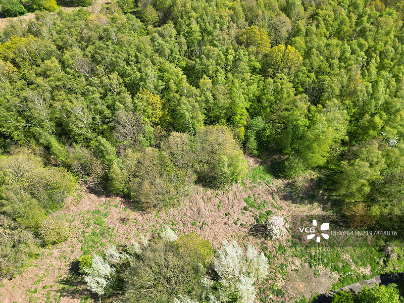 南约克郡罗瑟汉姆市中心和大教堂镇的高角度视图图片素材