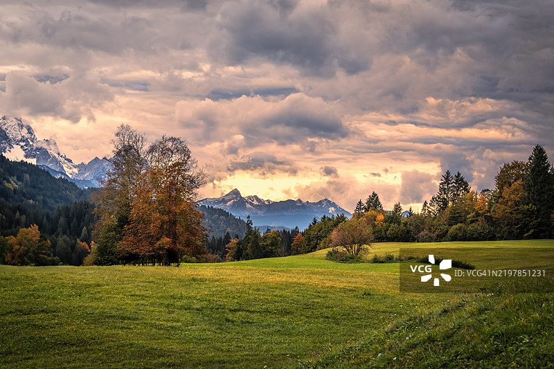 日落时分，天空下的田野上的树木图片素材