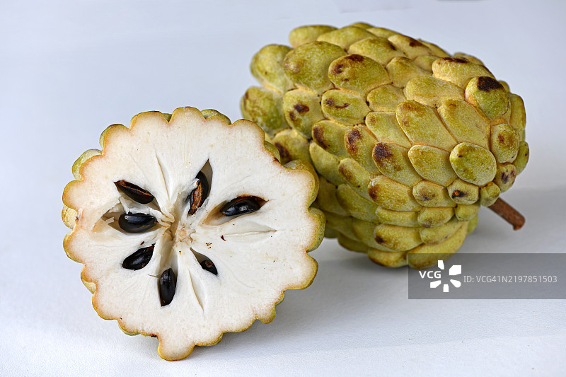 白色背景上的切开的奶油布丁特写图片素材