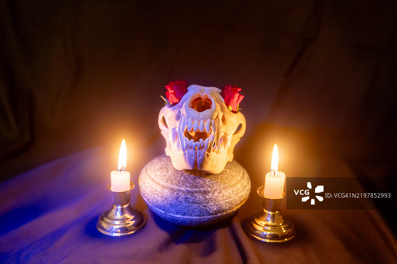 桌子上点亮的蜡烛特写图片素材