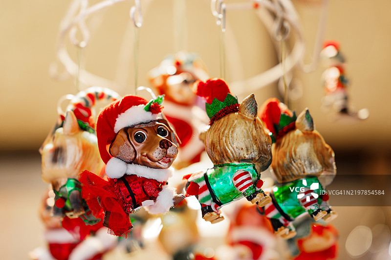 狗和猫的圣诞装饰品，穿着节日服装图片素材