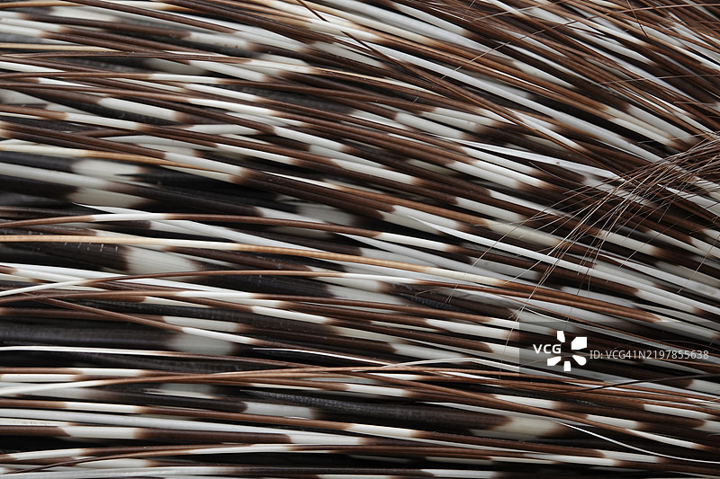 金属的全景特写图片素材