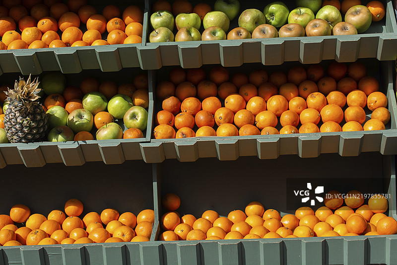 适合榨汁和制作果馅饼的新鲜橙子图片素材