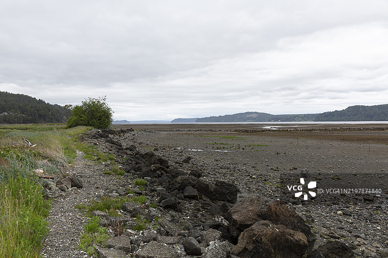 太平洋西北地区的牡蛎养殖场在退潮时的景象图片素材