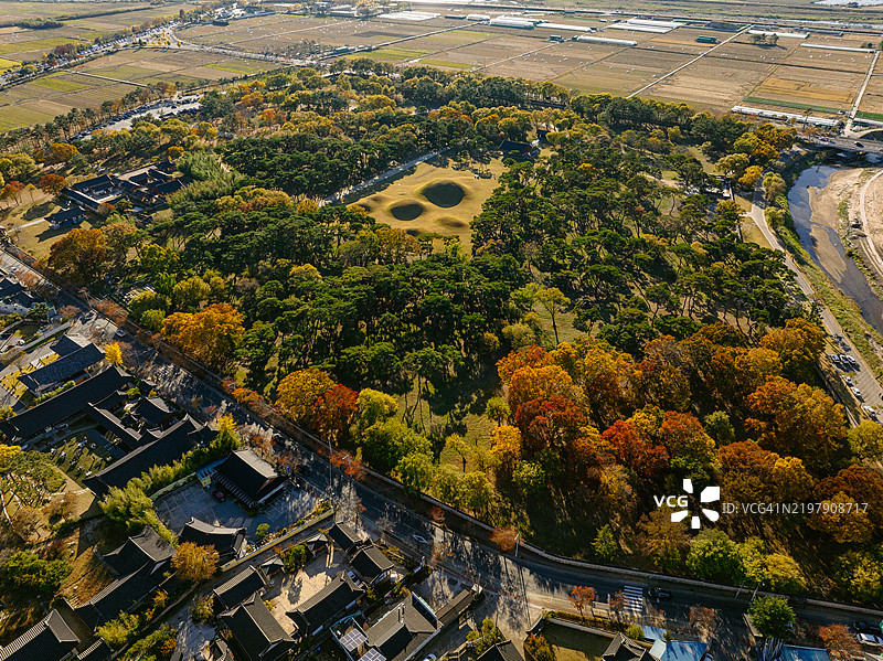 俯瞰庆州五陵附近林荫大道的秋季 foliage图片素材