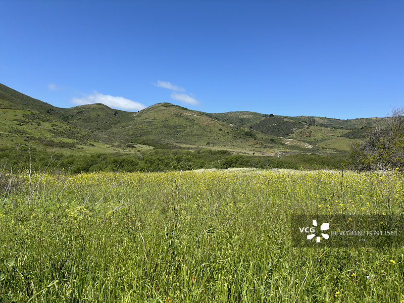 马林岬草地和山脉，加州索萨利托图片素材