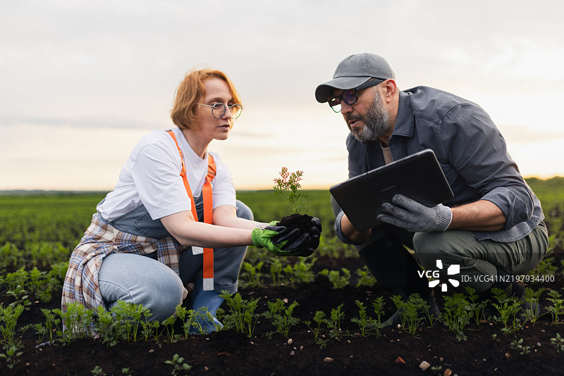 两位农民在田地里利用科技分析和种植作物图片素材