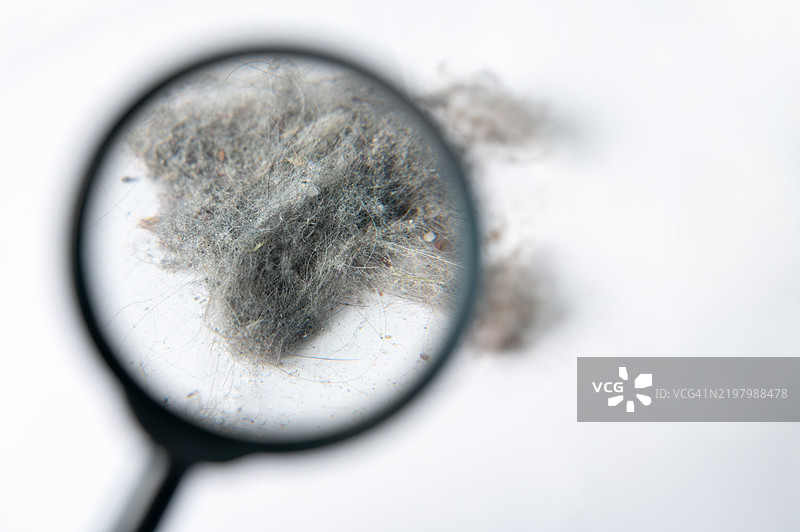 在镜头下放大显示的吸尘器容器中的灰尘和碎屑图片素材