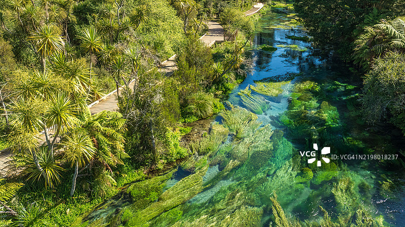 怀霍河蓝泉普塔鲁鲁，提供新西兰约70%的瓶装水。水下的水草显示出水的清澈与洁净。图片素材