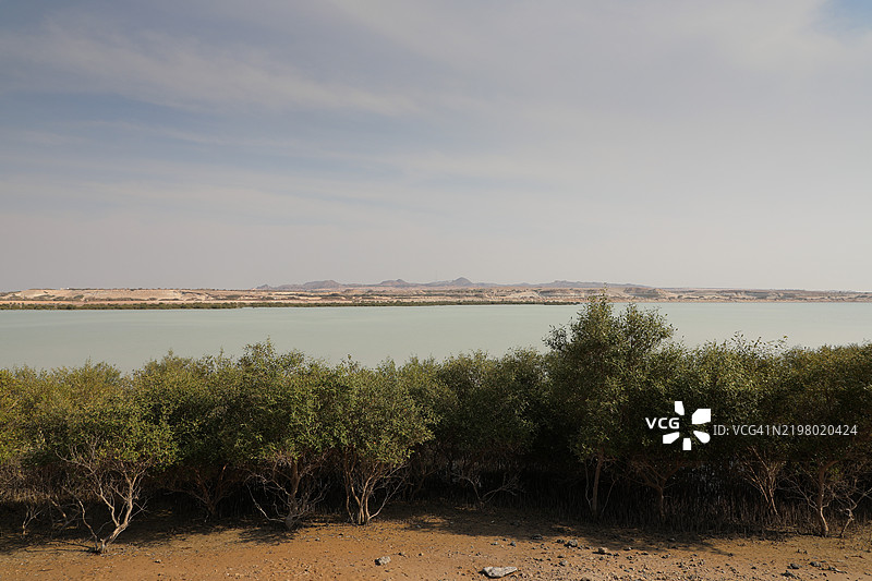 阿布扎比的巴尼亚斯岛图片素材