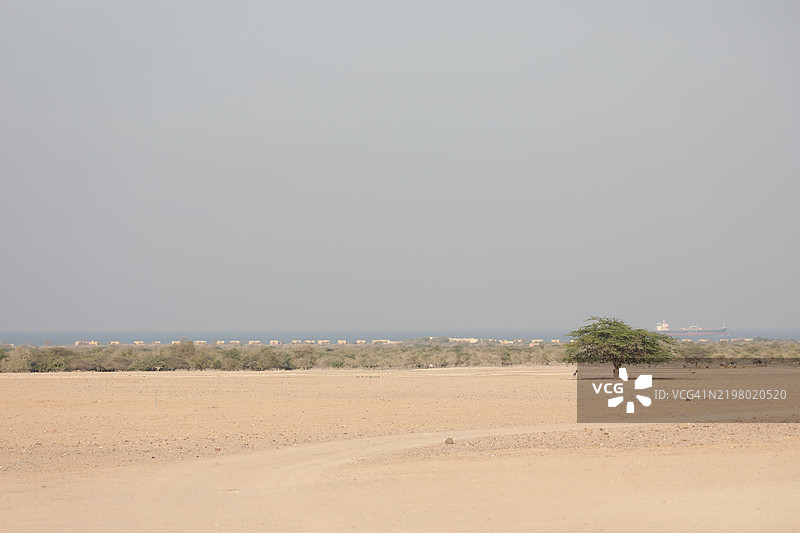 阿布扎比的巴尼亚斯岛图片素材