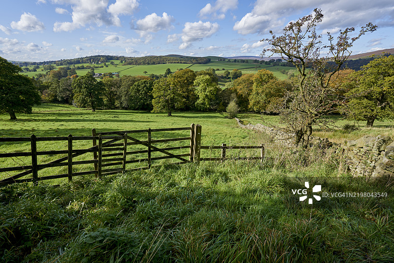 约克郡沼泽。南约克郡。英格兰，英国图片素材