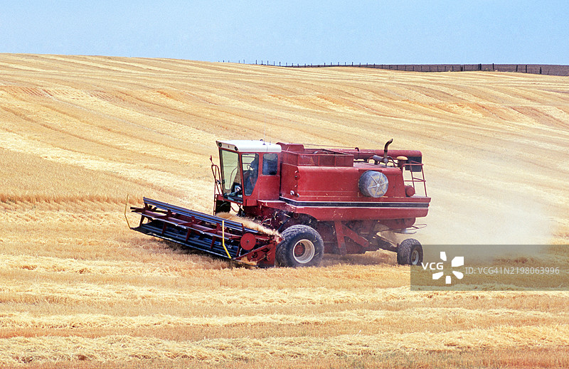 俄勒冈州的小麦收割图片素材