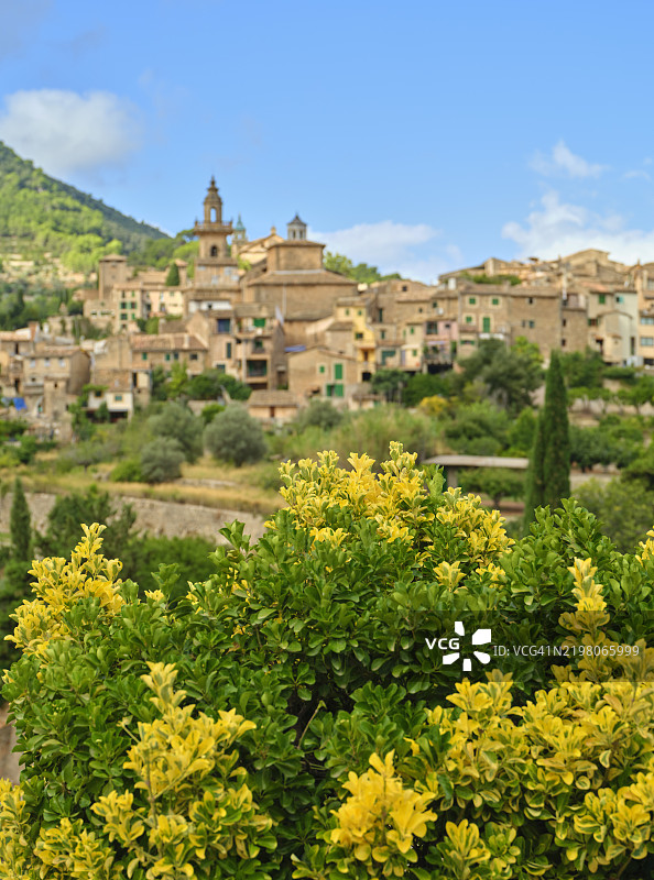 迷人的西班牙村庄风景，马约卡岛上生机勃勃的植物。图片素材