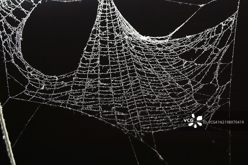 德国欧洲的尘封蜘蛛网图片素材