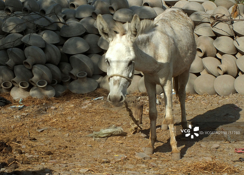 工人们忙于制作陶土陶器图片素材