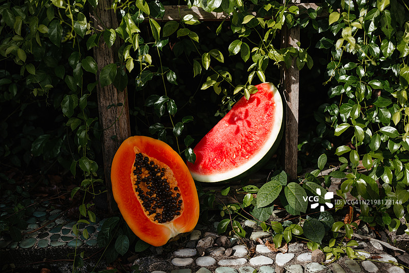 绿色背景上的热带水果。花园里的木瓜和红西瓜。图片素材