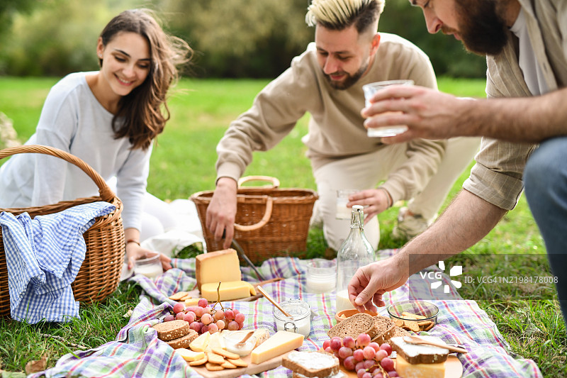 快乐的朋友们在草地上享受野餐，准备小吃图片素材