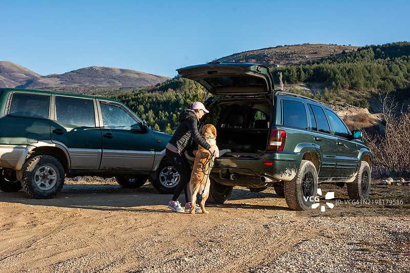 女孩帮助金毛寻回犬跳进绿色SUV，结束山间徒步旅行。图片素材