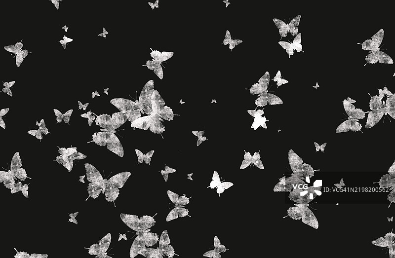 带有涂漆边缘的深色背景上的纹理蝴蝶群图片素材