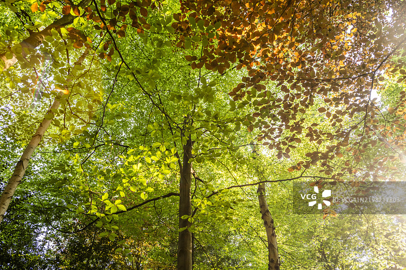 季节变换图片素材