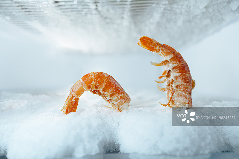 冰上的大虾图片素材