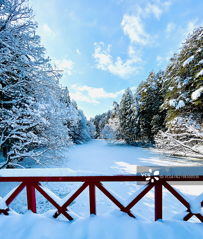 日本青森白天的雪景。图片素材